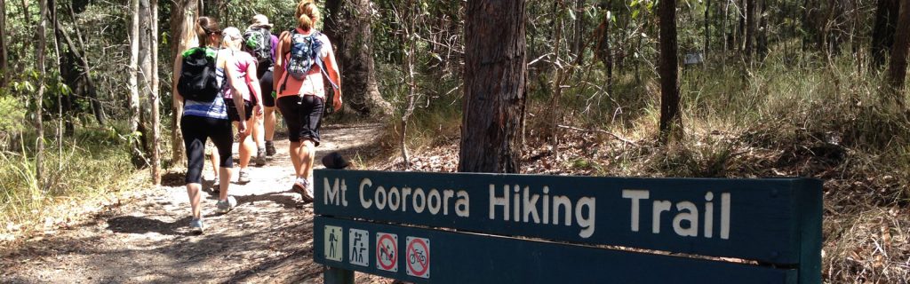 Mt Cooroora Hiking trail project