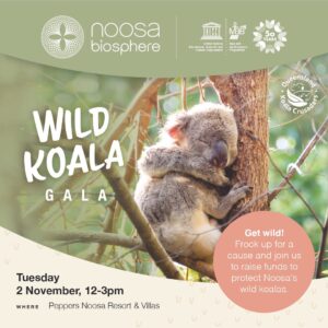noosa wild koala gala 2021