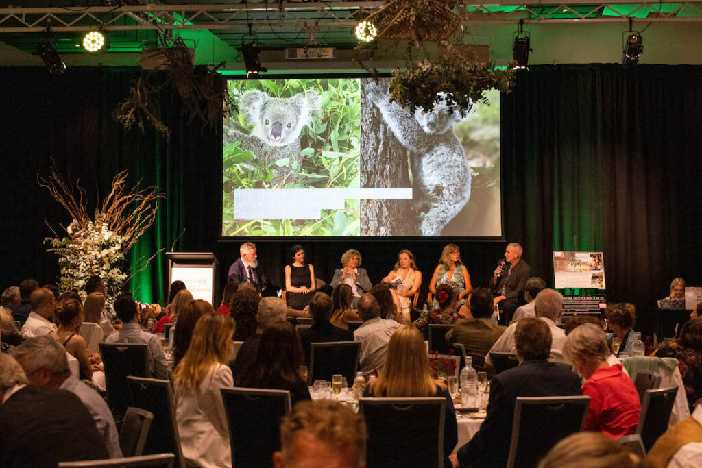 Koala expert panel at Noosa Biosphere Wild Koala Gala nov 2021