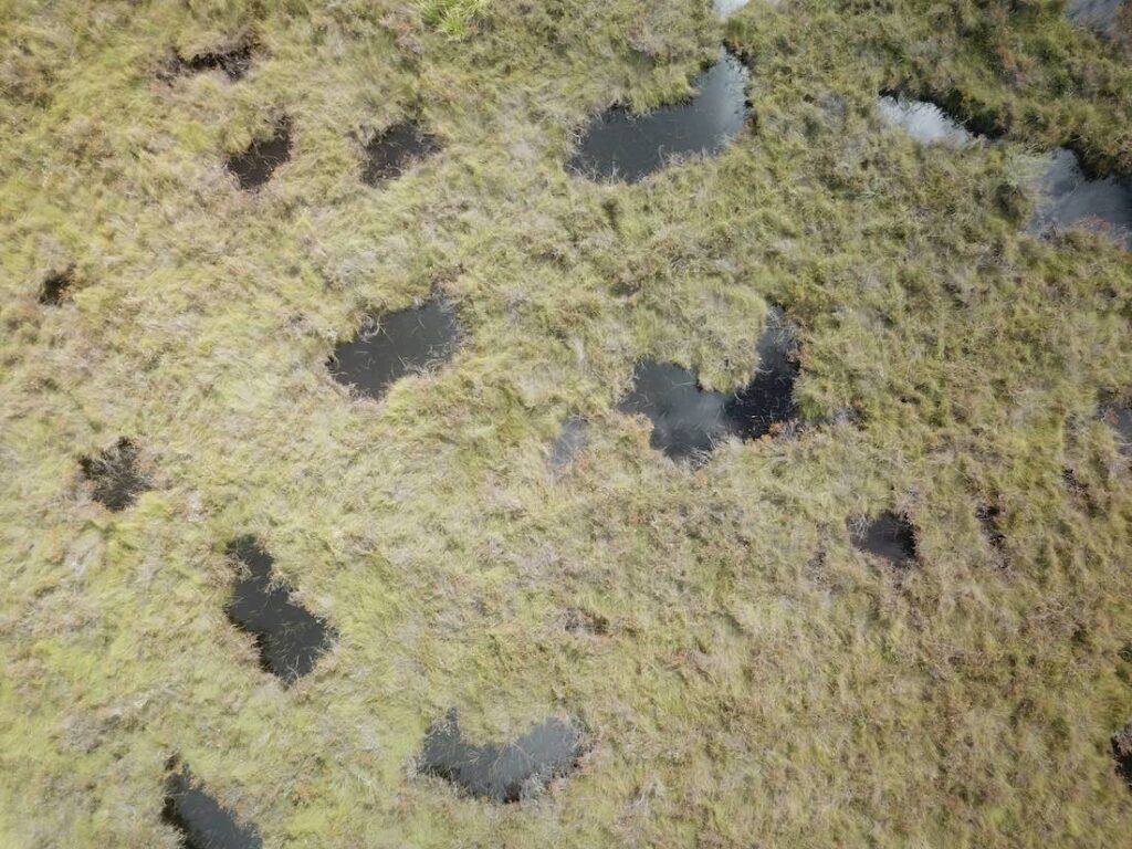 duck creek peat swamp from above