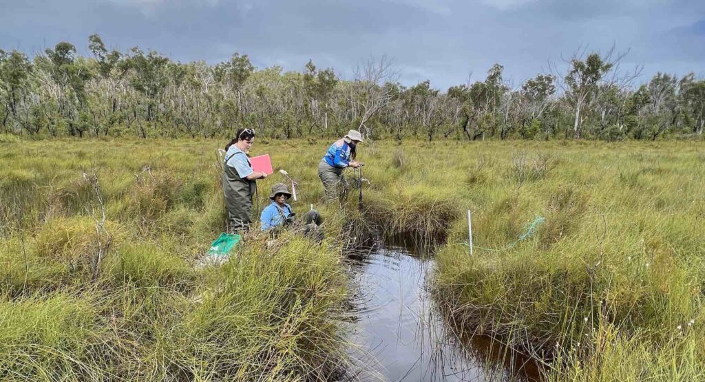 researchers sample Bogimbah Ck peat swamp